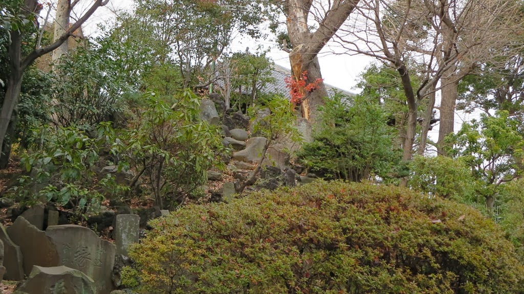 [IMG_0163%255B3%255D.jpg]