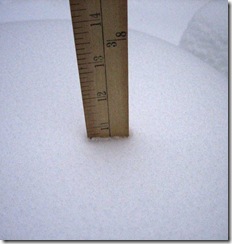 snowstorm1201_35 snowstorm1201_35