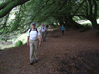 Woodland trail