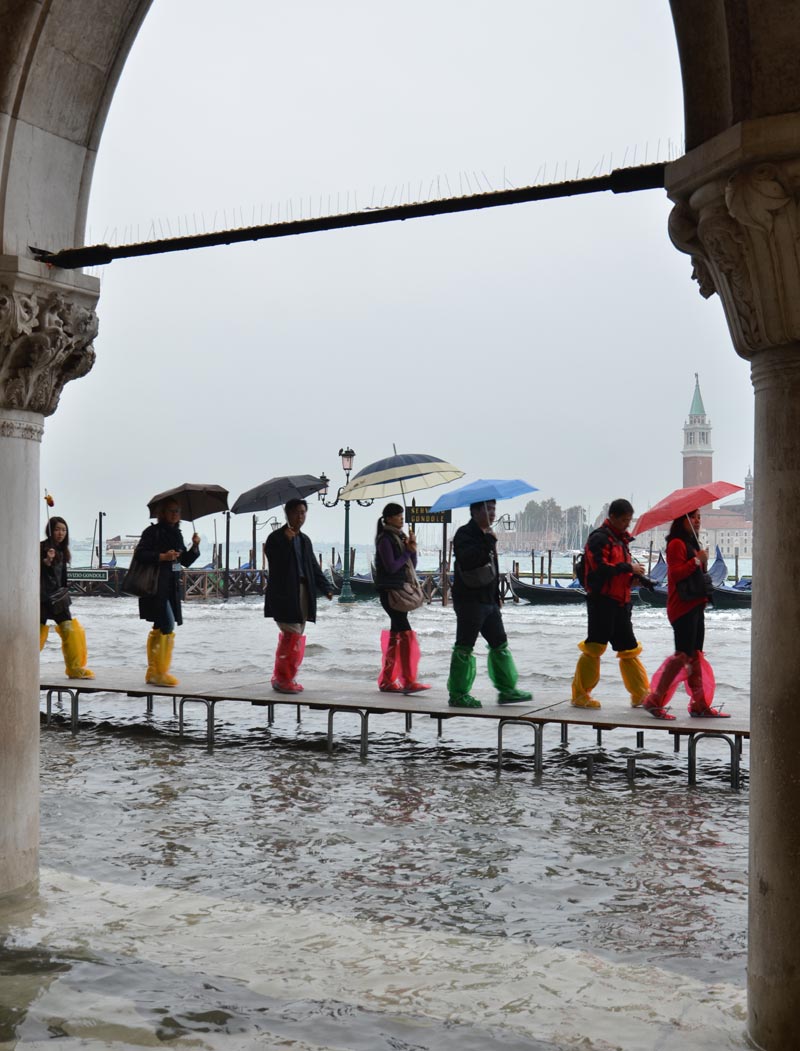 DSC_2335.jpg DSC 2335