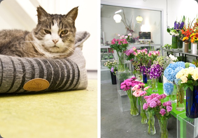 garden party split-3 garden party split-3