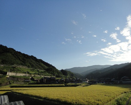 DSC00259 DSC00259