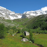 24.06.10 Hollenztal - malga Hollenz