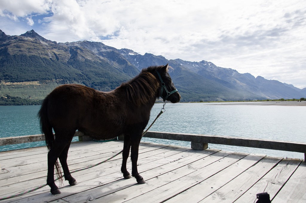 [Ponywharf-7%255B3%255D.jpg]
