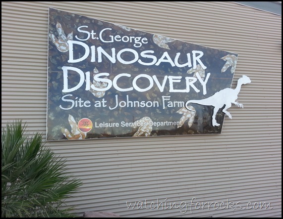 DinoMuseum DinoMuseum