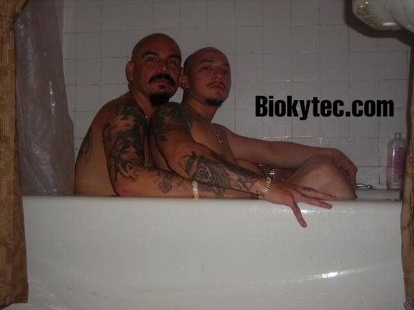 cholo