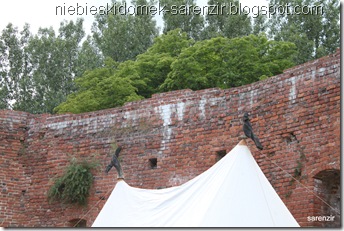 IMG_2010m IMG_2010m