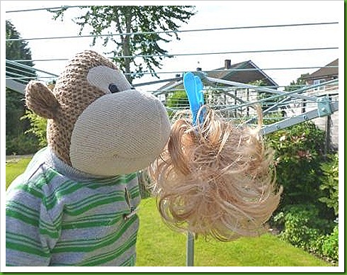 Hanging wig out to dry Hanging wig out to dry