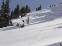 DSC01711.JPG