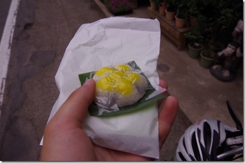 IMGP4511 IMGP4511