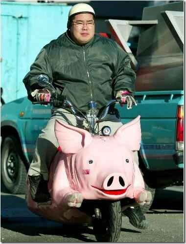 pig_bike