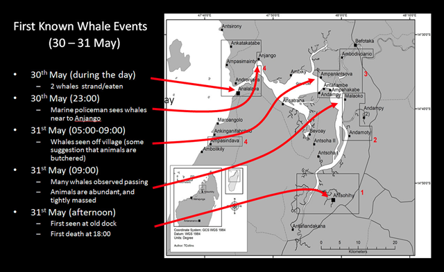Map of whale stranding event, 30-31 May 2008. Approximately 100 melon-headed whales stranded in the Loza Lagoon system in Madagascar. The stranding was caused by seismic testing conducted by an ExxonMobil. Graphic: IWC
