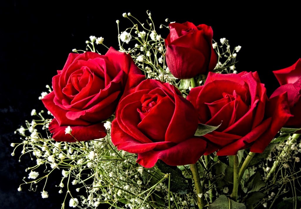 [557120_nature_flowers_flower_basket_red_roses_2436x1695_%2528www.GdeFon.ru%2529%255B4%255D.jpg]