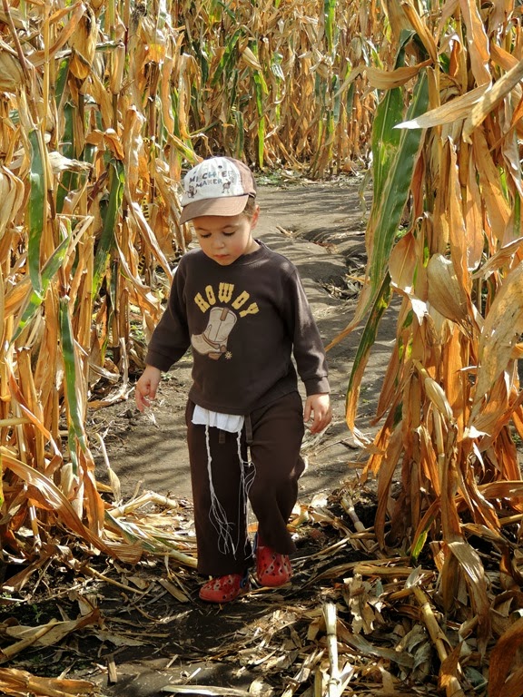 [DSCN6699%255B4%255D.jpg]