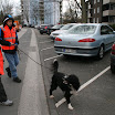 IMG_1254.JPG