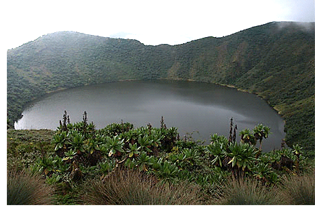 [Mount-Visoke-bisoke-rwanda-hike%255B4%255D.gif]