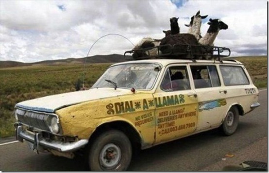 viral-picdump-pics-35b89f