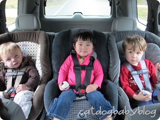 2012-01-08 (16)