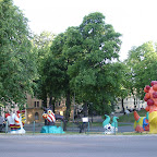 07130034.JPG