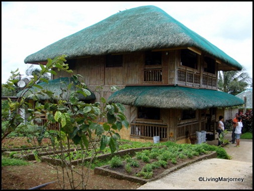 Costales Farm in Majayjay, Laguna (3)