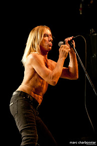 Iggy and the Stooges-11.jpg