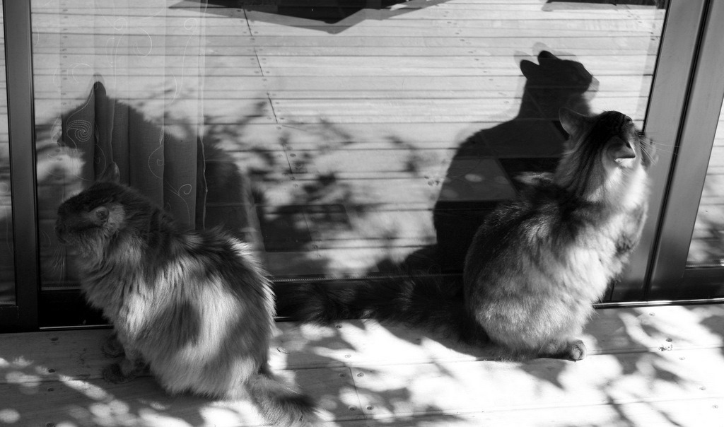 [IMG_8928-1%255B3%255D.jpg]