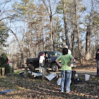 Handing out free tree seedlings