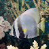 P7014085