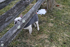 When Will Spring Finally Arrive?