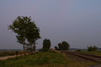 Moorexpress