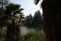 Lake Photo