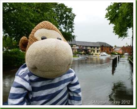 Flooded Bilbrook