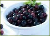 [Acai%255B3%255D.png]