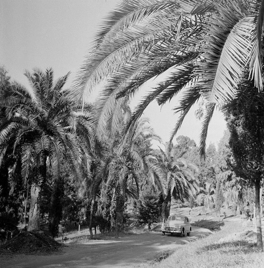 clip_image038 clip_image038
