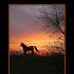 Loegan_sunset_mrgd_frnd.jpg