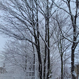 DSC00316.JPG