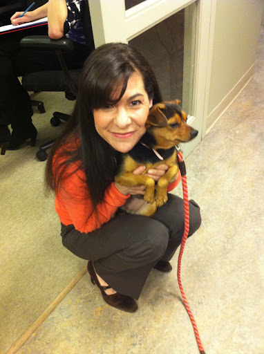 I got some sage advice from an expert before going on the show. Ms. Cherry here shared a few great points about why adoption is so important. (See link to Cherry's adoption info at end of the post.)