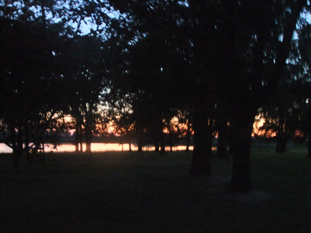 [DSCF72498.jpg]