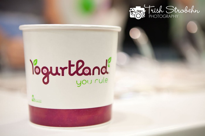 Yogurtland-LV-070