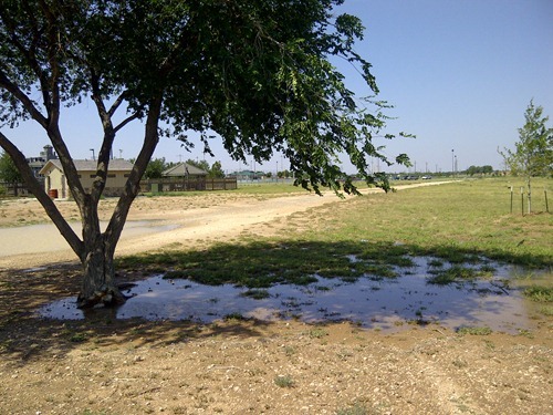 IMG-20120616-06795