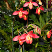 IMG_3251.JPG