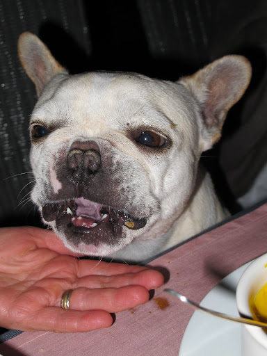 Oh, that was delicious!  May I have more, please?
