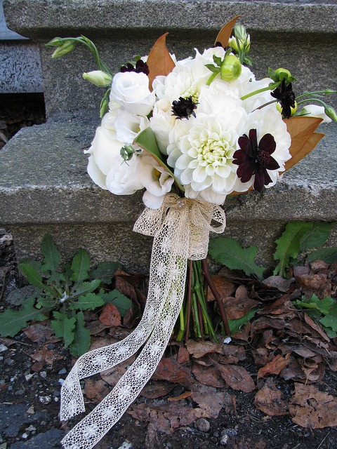 [6189463009_a58ceff5eb_z-valley-flowe%255B2%255D.jpg]