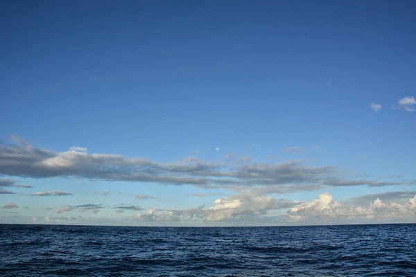 DSC_3687.JPG DSC 3687