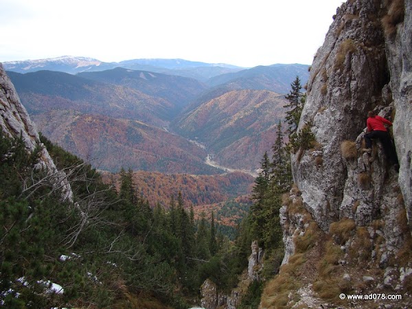 cioranga ramura de sus-24.JPG