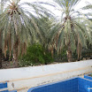 Tunesien-04-2012-227-D.JPG