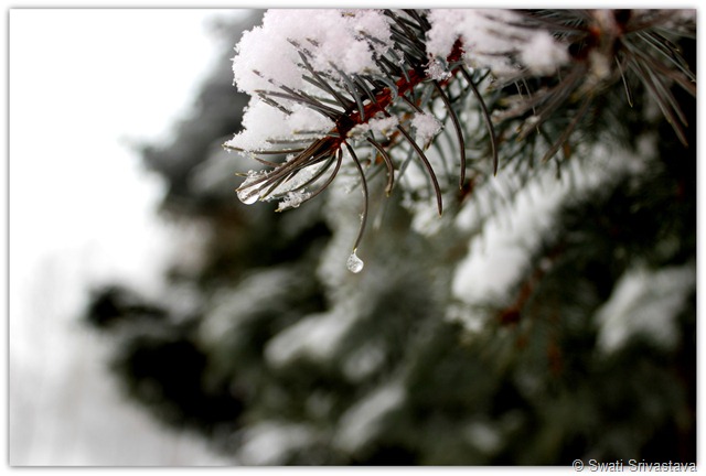IMG_6762 IMG_6762