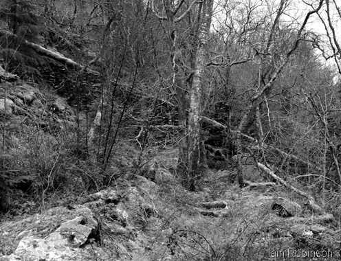 Side of the incline (1280x960) Side of the incline (1280x960)