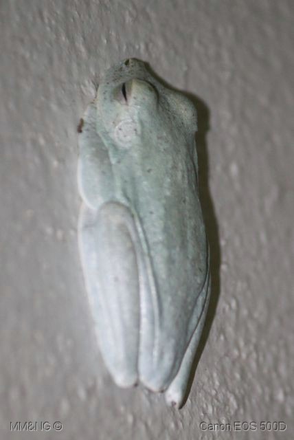 [IMG_1154%255B7%255D.jpg]