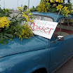 Bloemen corso 2011 (9).jpg